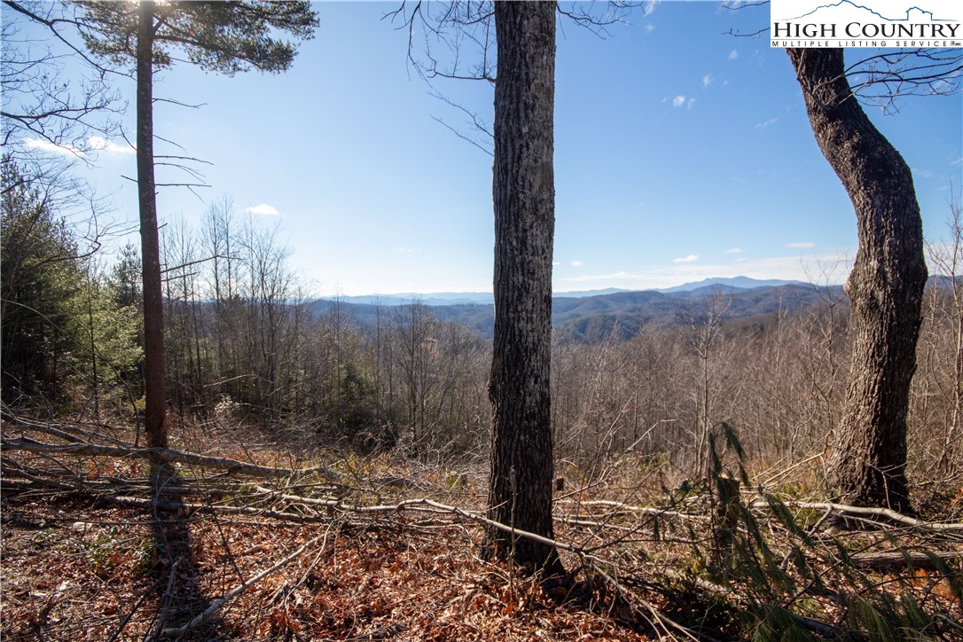 Lot# 137 Timber Rock Lane Property Photo 34