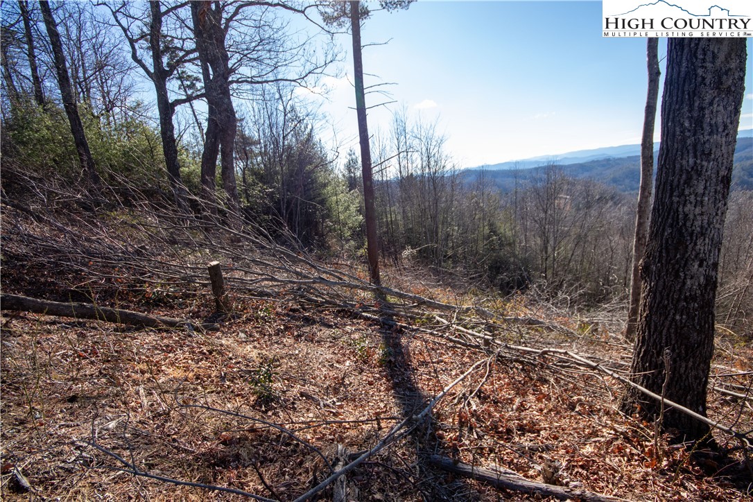 Lot# 137 Timber Rock Lane Property Photo 35