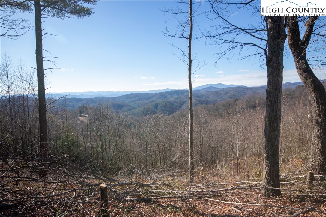 Lot# 137 Timber Rock Lane Property Photo 37