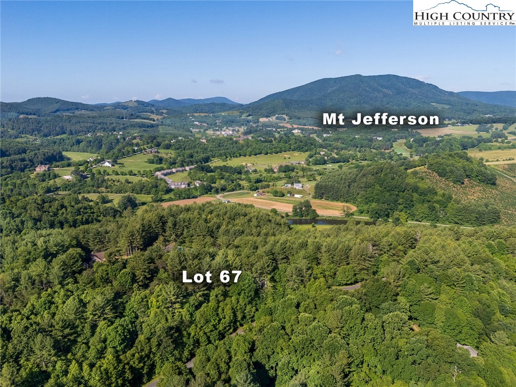 Tbd Village Pine Drive Property Photo 2