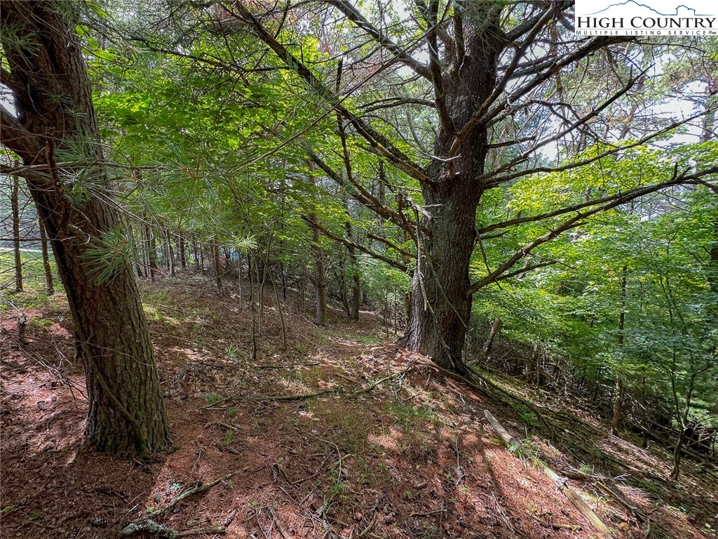 Tbd Village Pine Drive Property Photo 10