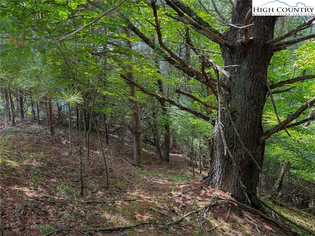 Tbd Village Pine Drive Property Photo 11