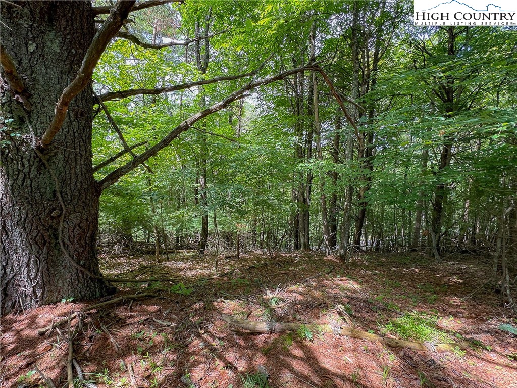 Tbd Village Pine Drive Property Photo 12