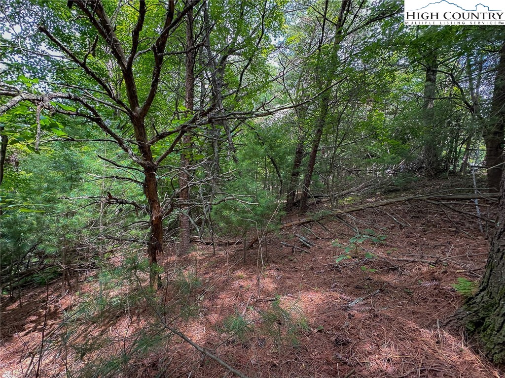 Tbd Village Pine Drive Property Photo 13