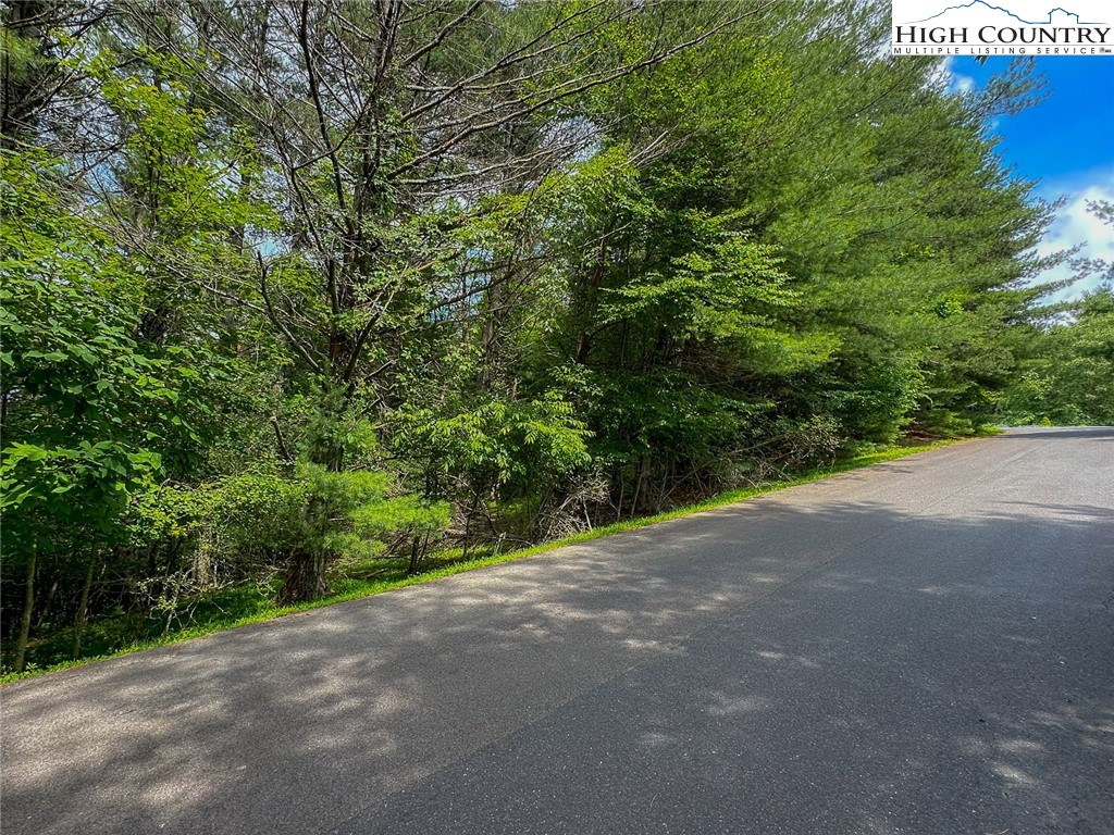 Tbd Village Pine Drive Property Photo 14