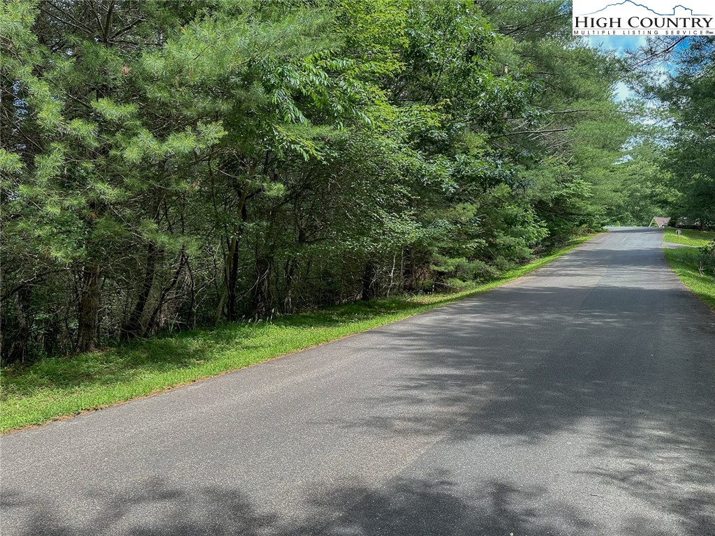 Tbd Village Pine Drive Property Photo 15