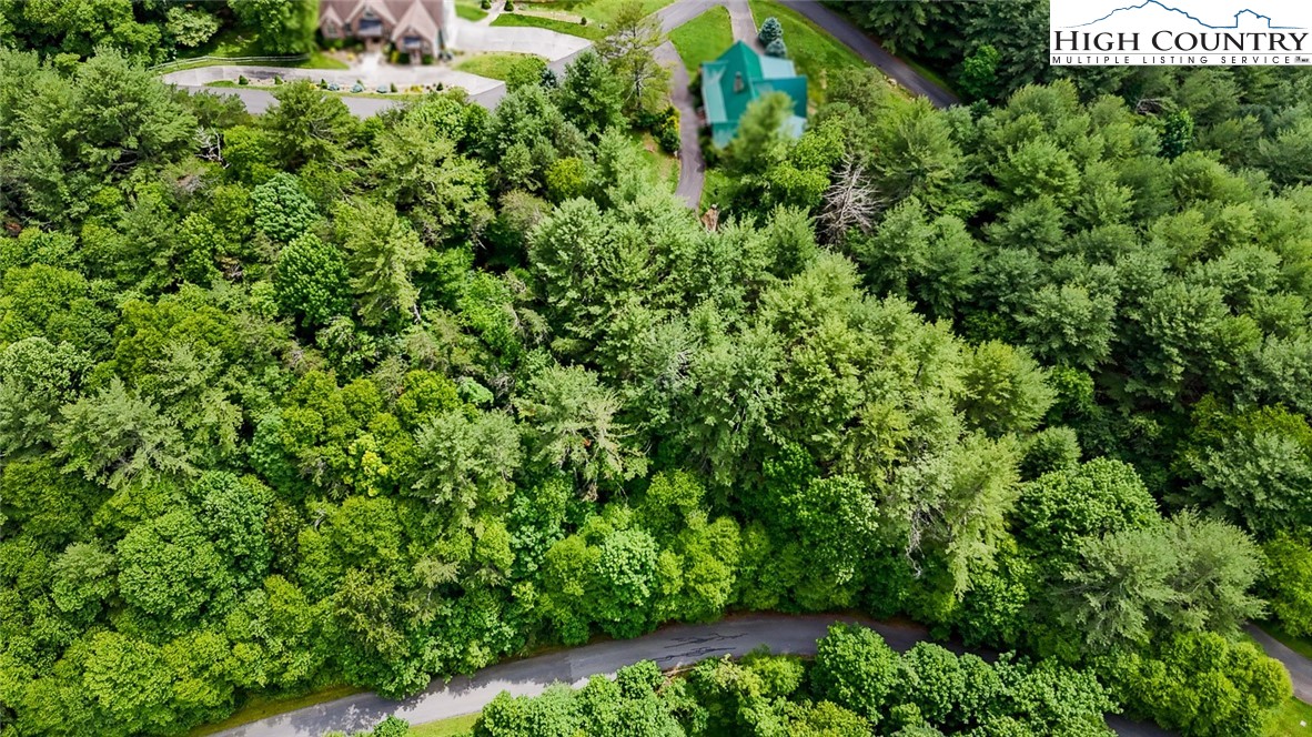 Tbd Village Pine Drive Property Photo 16