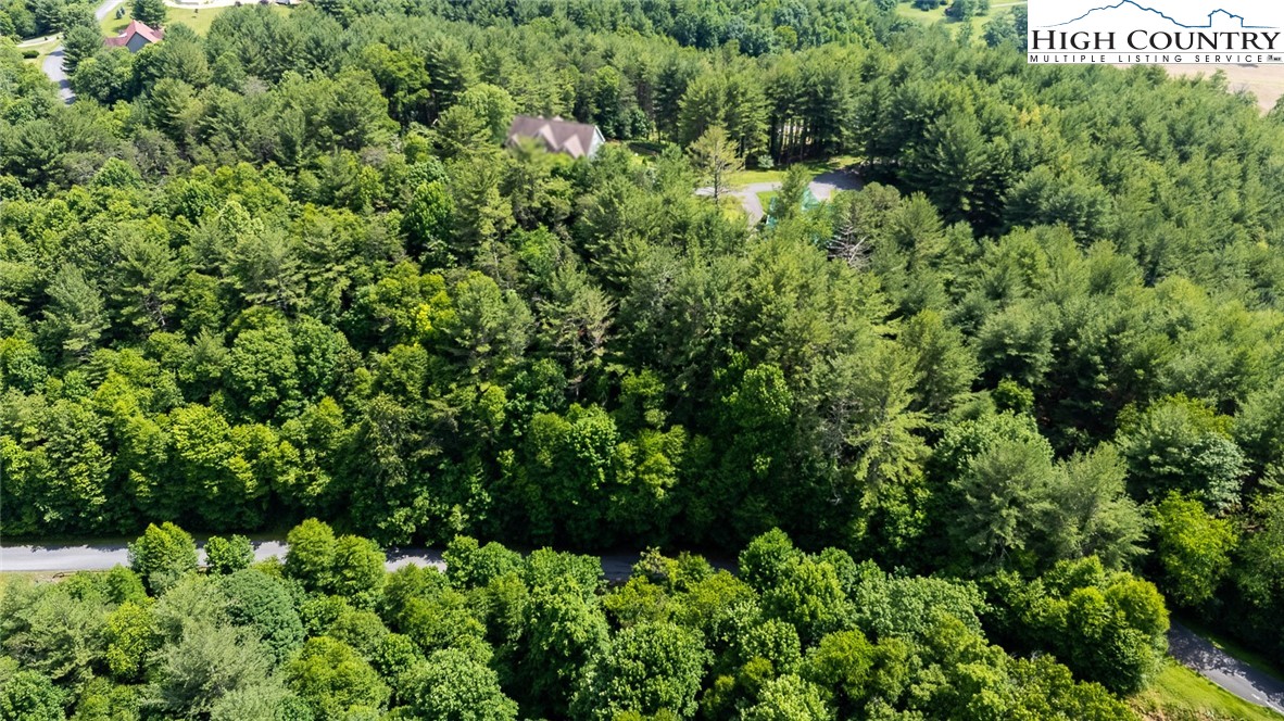 Tbd Village Pine Drive Property Photo 20