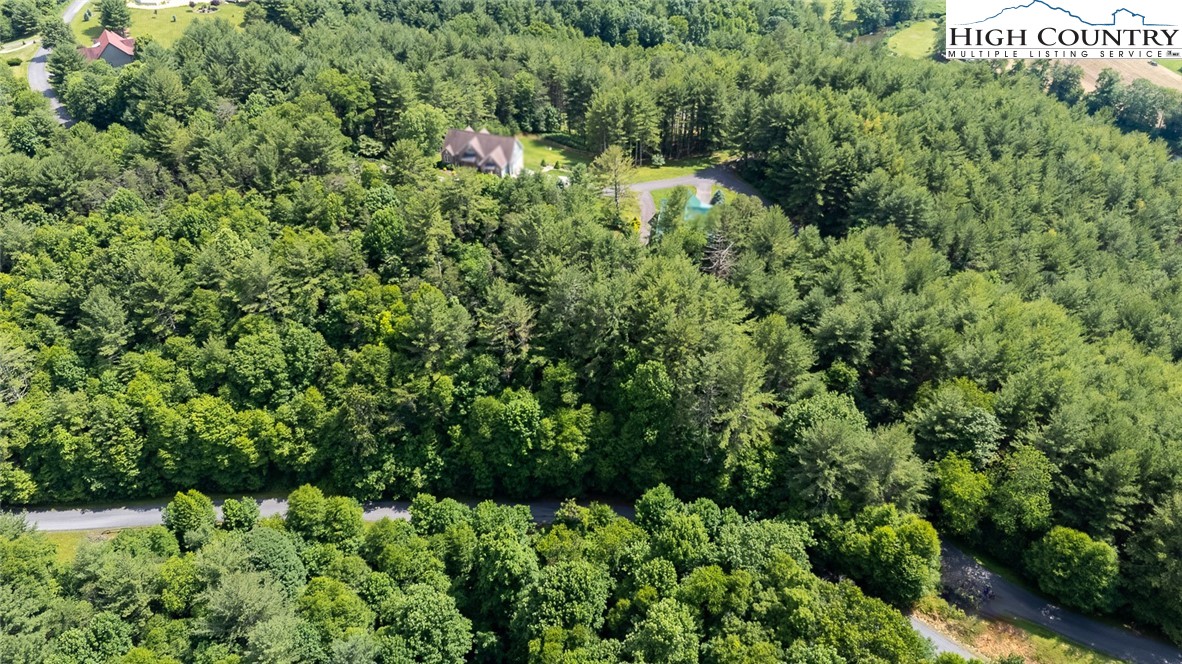 Tbd Village Pine Drive Property Photo 21