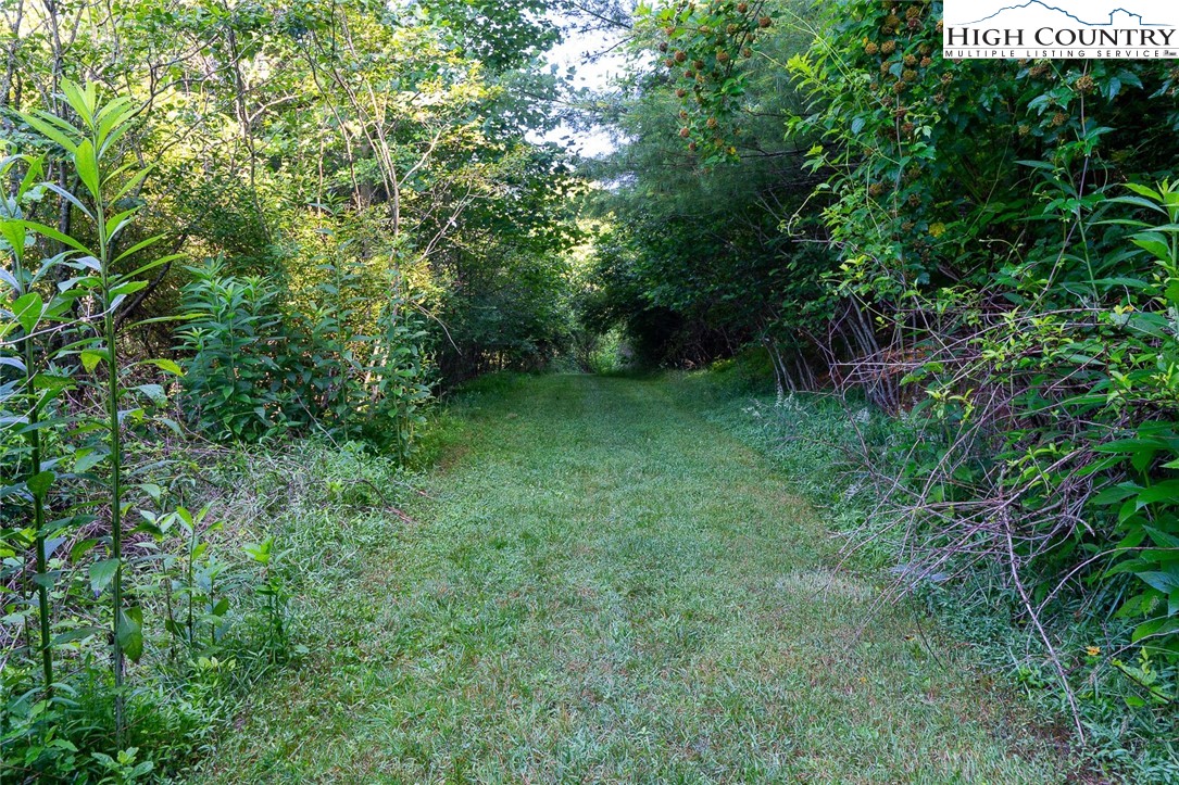 Tbd Village Pine Drive Property Photo 22