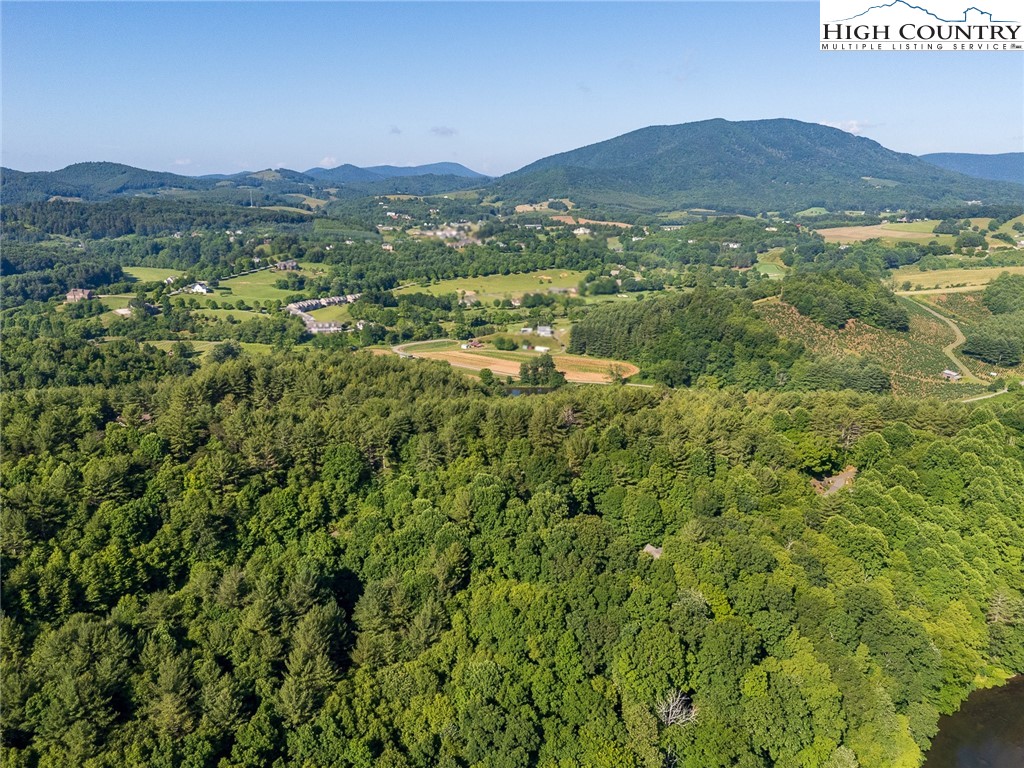 Tbd Village Pine Drive Property Photo 38