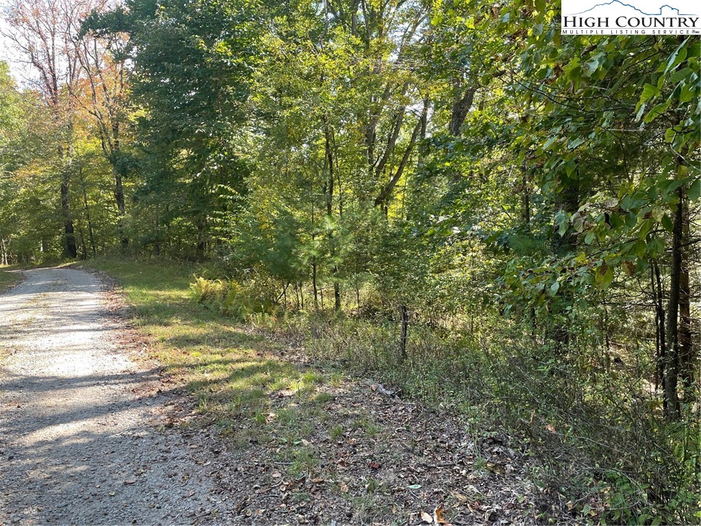 Tbd Johnson Hill Drive Property Photo 2