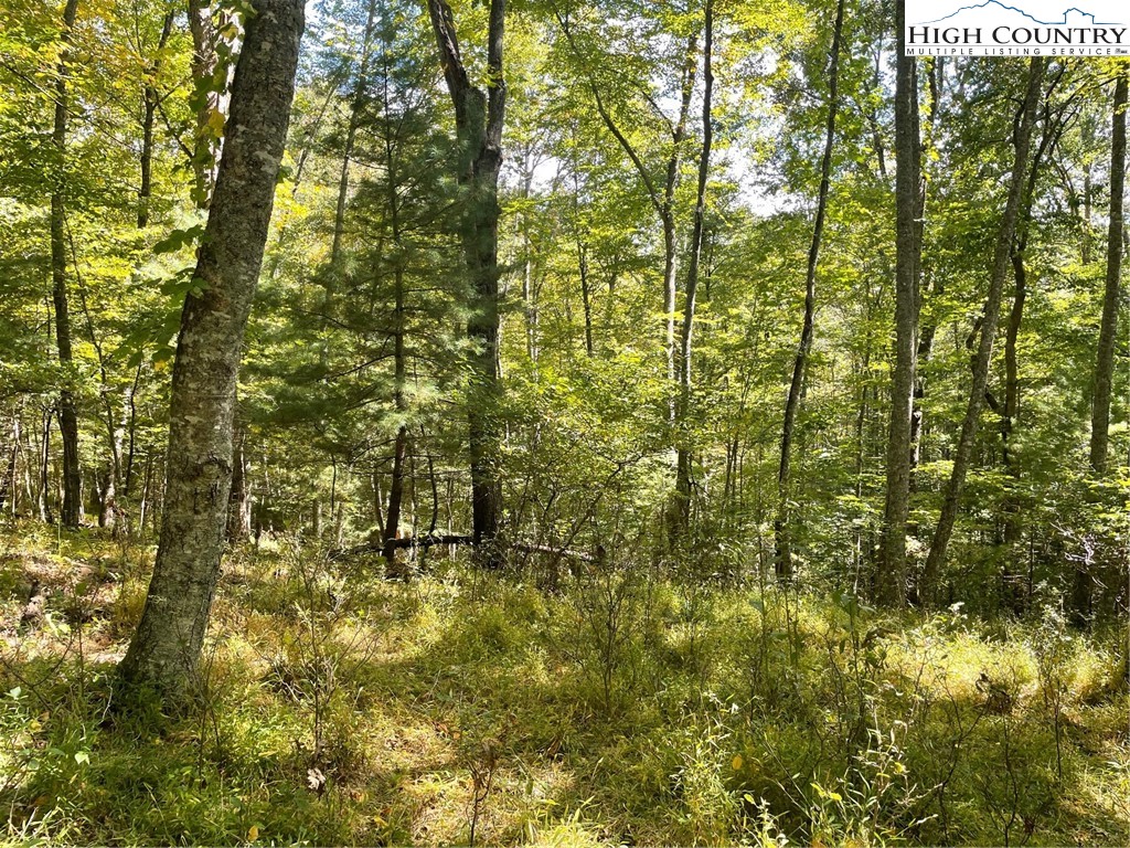 Tbd Johnson Hill Drive Property Photo 3