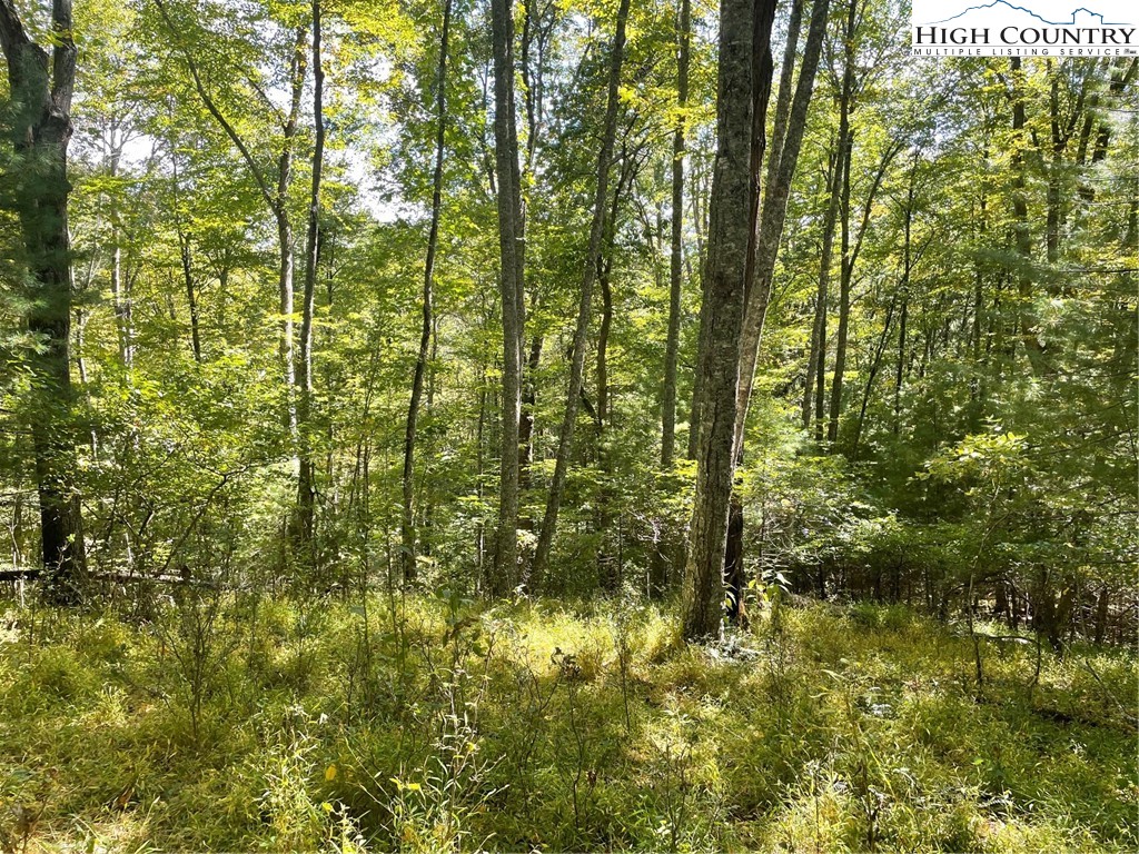 Tbd Johnson Hill Drive Property Photo 4