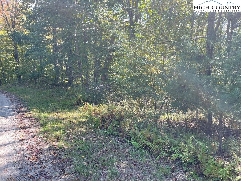 Tbd Johnson Hill Drive Property Photo 8