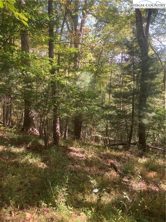 Tbd Johnson Hill Drive Property Photo 10
