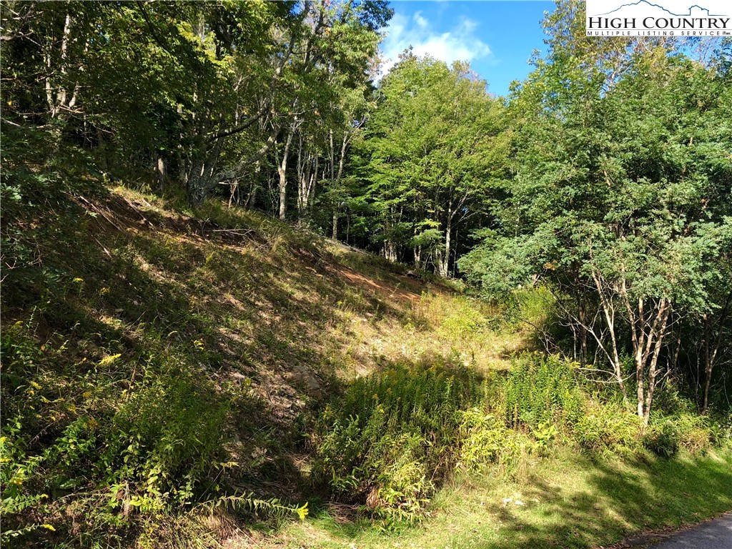 Tbd Wakeman Way Property Photo 5
