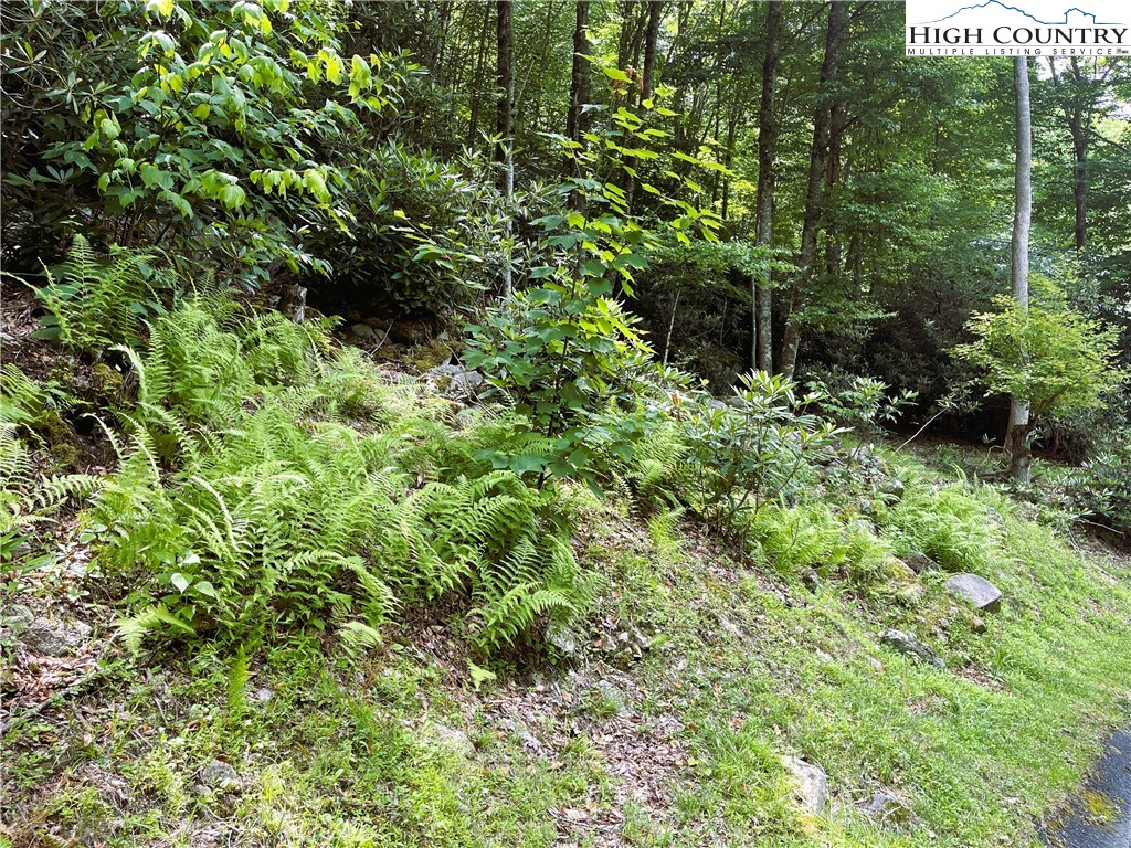 523 Pinnacle Ridge Road Property Photo 1