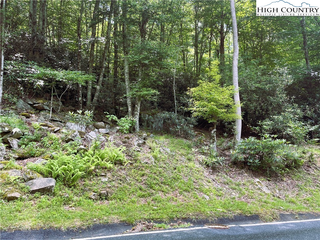 523 Pinnacle Ridge Road Property Photo 2