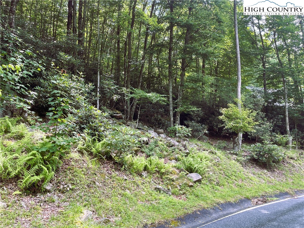 523 Pinnacle Ridge Road Property Photo 3