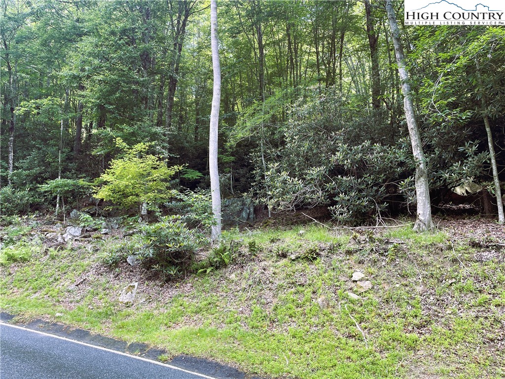 523 Pinnacle Ridge Road Property Photo 4