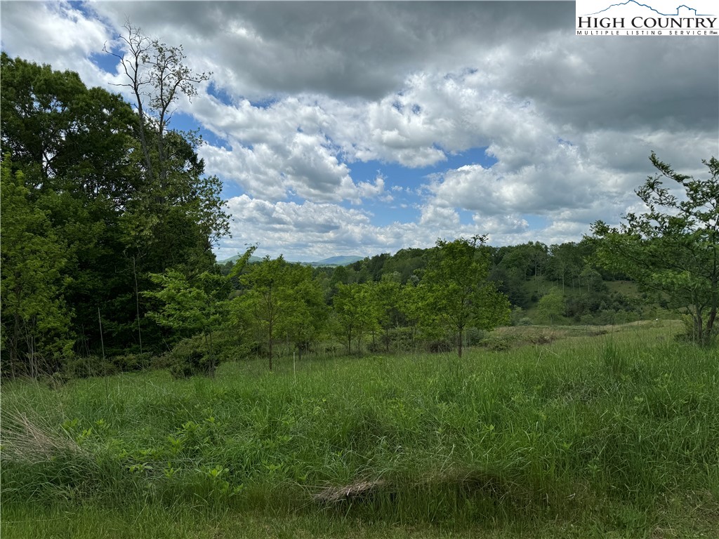 Tbd (lot 80) Prime Circle Property Photo 3