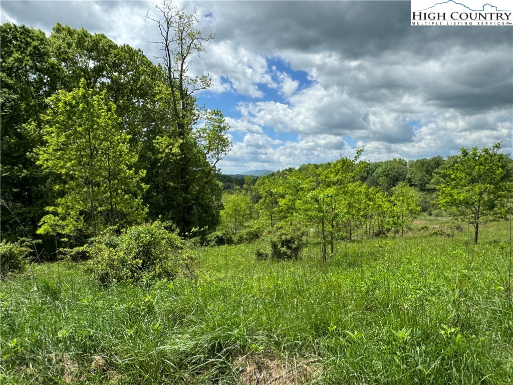 Tbd (lot 80) Prime Circle Property Photo 8