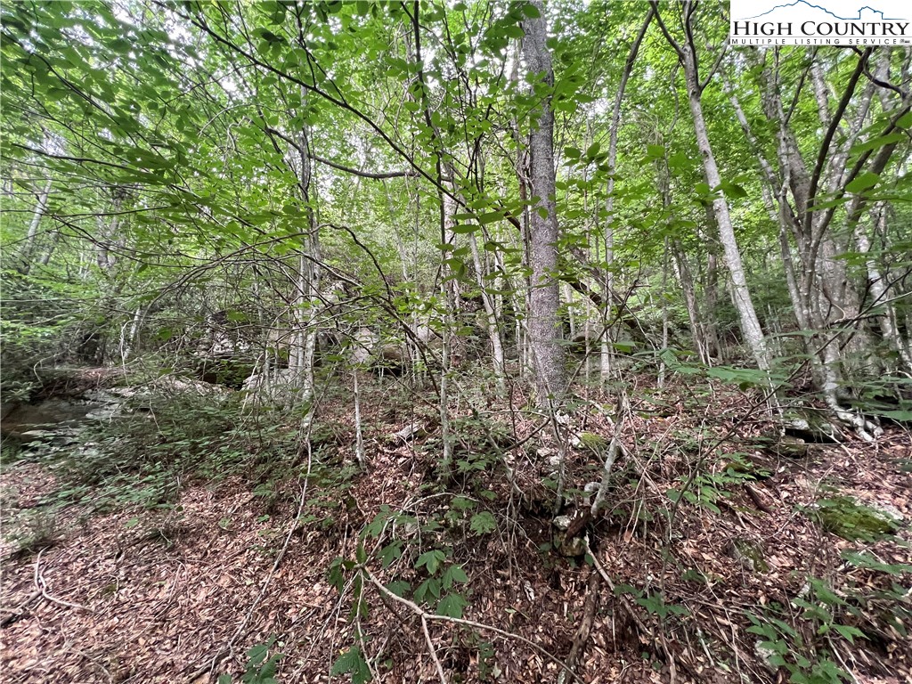 111 Smoketree Road Property Photo 6