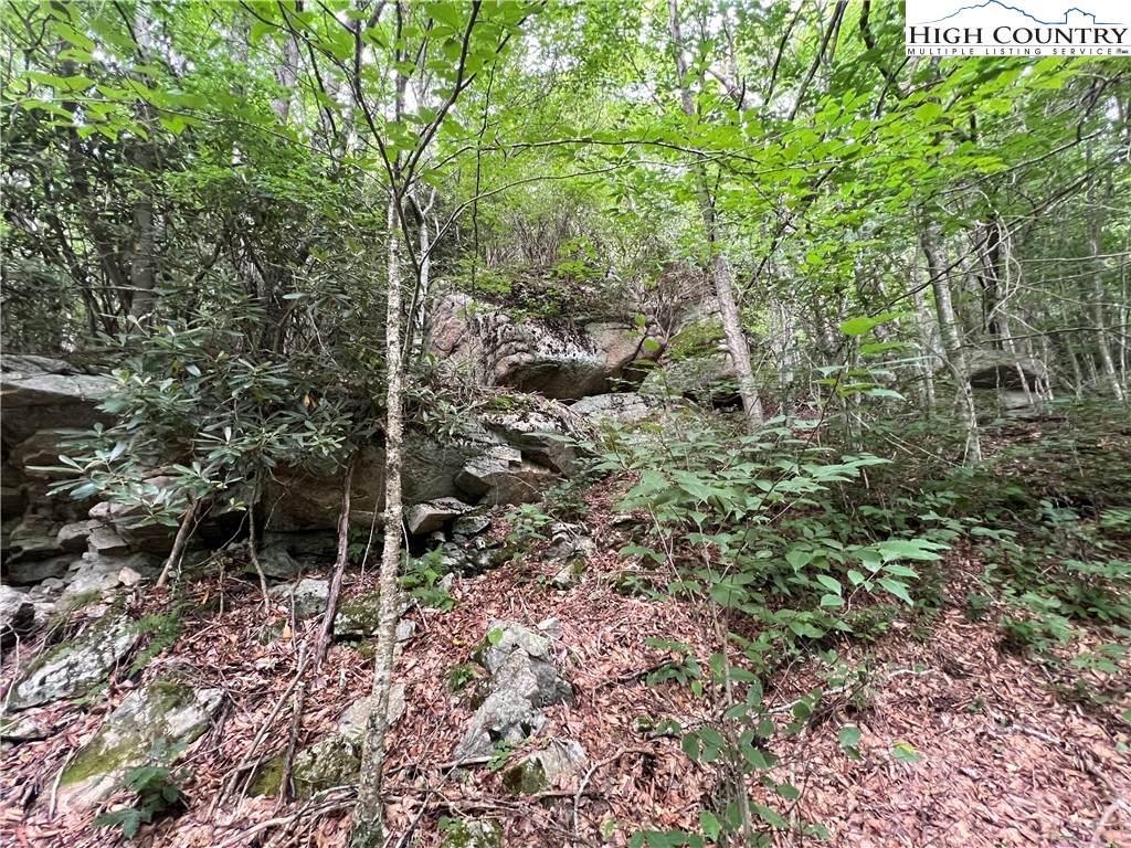 111 Smoketree Road Property Photo 7