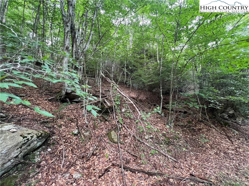 111 Smoketree Road Property Photo 8