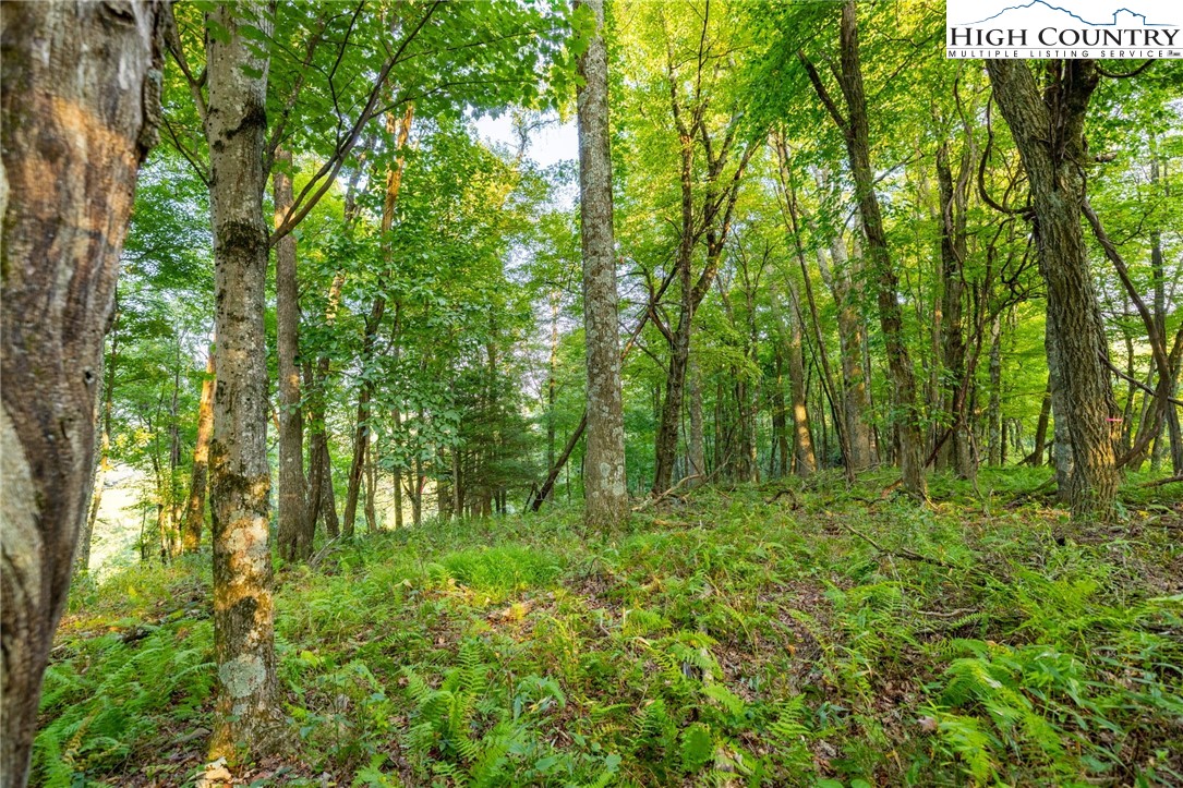 Tbd Omega Way Property Photo 15