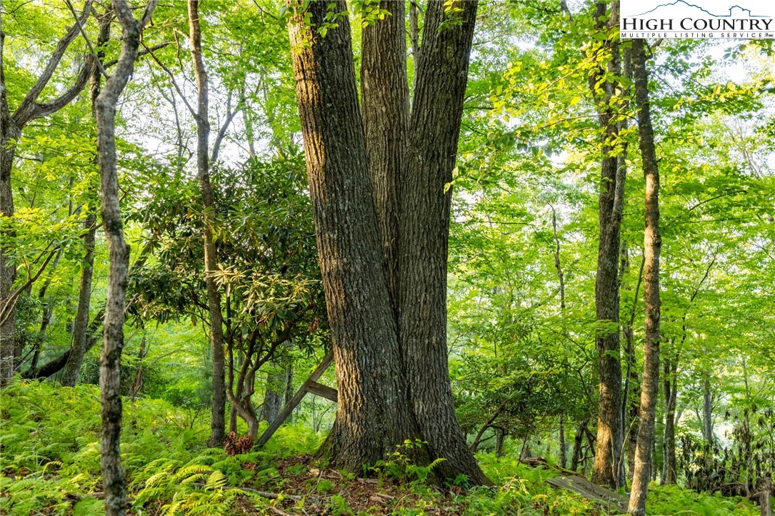 Tbd Omega Way Property Photo 16