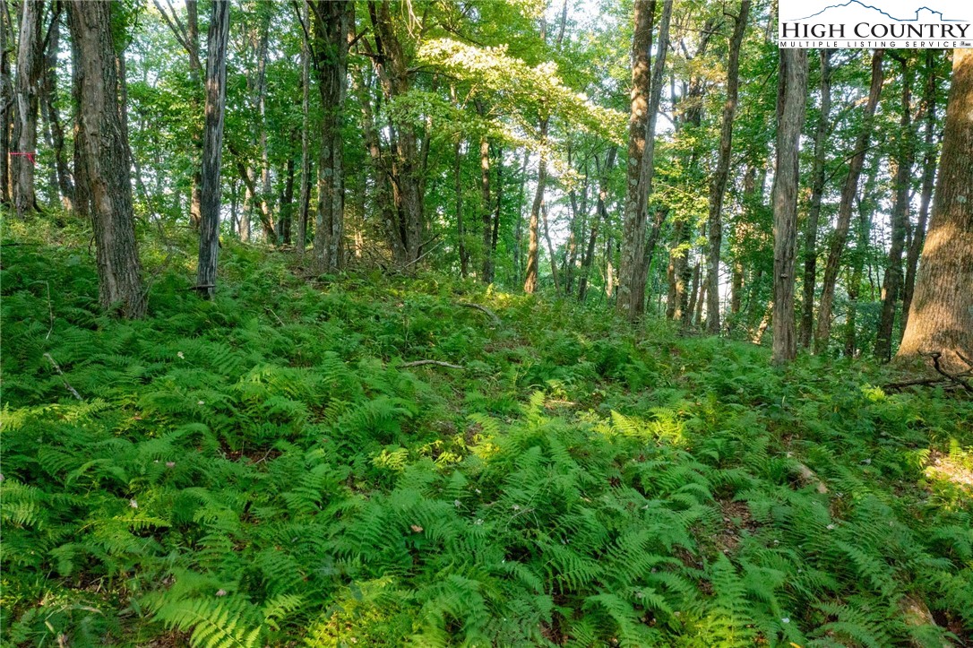 Tbd Omega Way Property Photo 30
