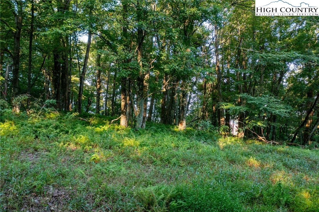 Tbd Omega Way Property Photo 32