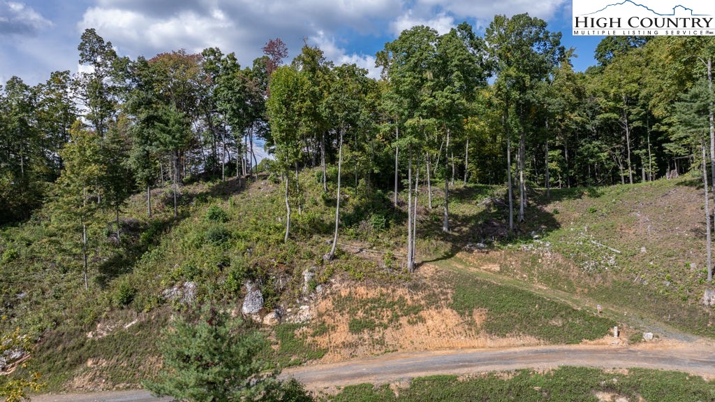 30 Summit View Parkway Property Photo 1