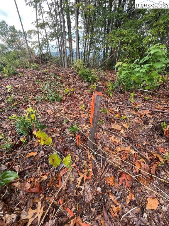 Tract 6 Cabin Creek Road Property Photo 6