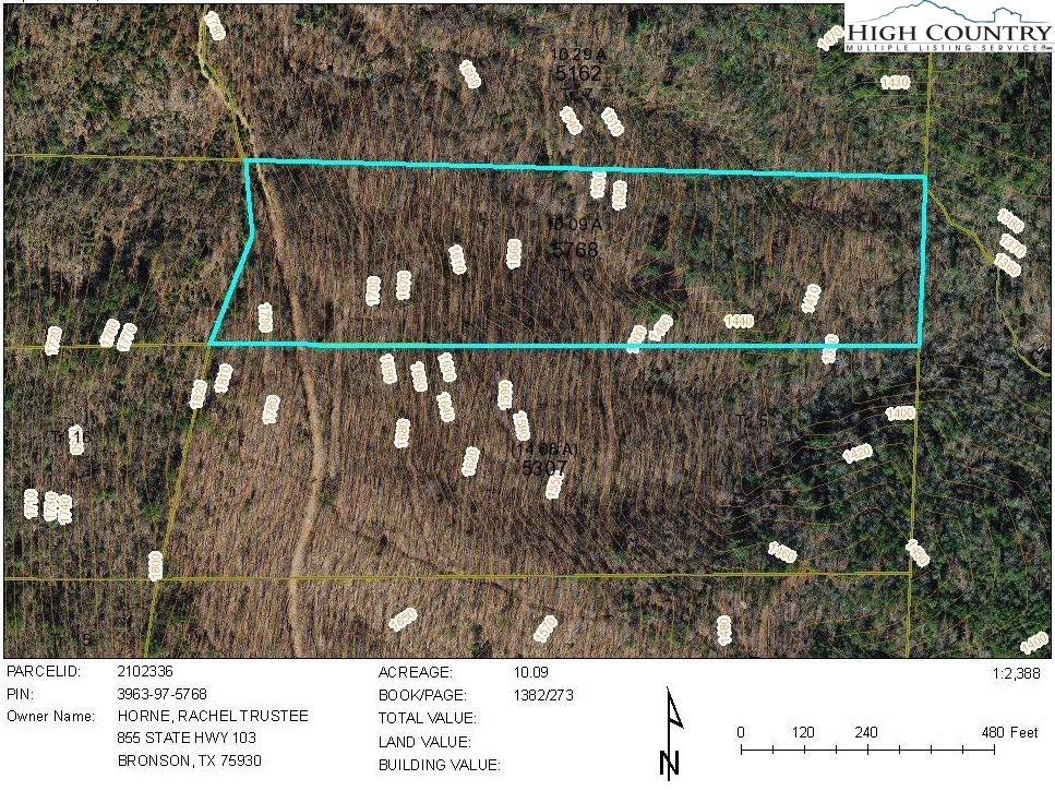 Tract 6 Cabin Creek Road Property Photo 11