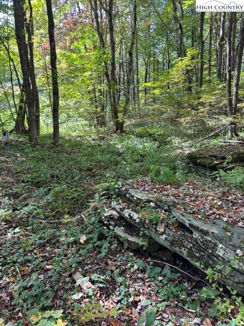 Lot 36 Beechwood Circle Property Photo 1