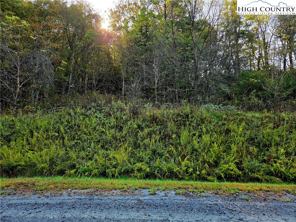 Lot 31 Riverstone Property Photo 1