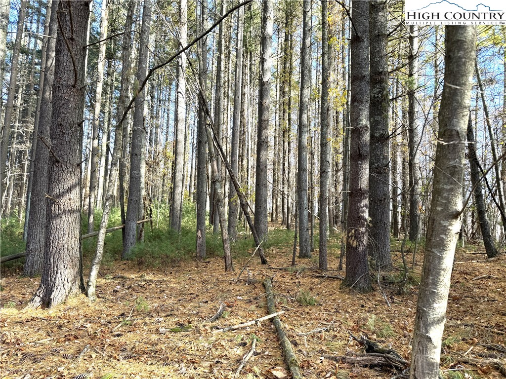 Tbd Jr Dairy Road Property Photo 1