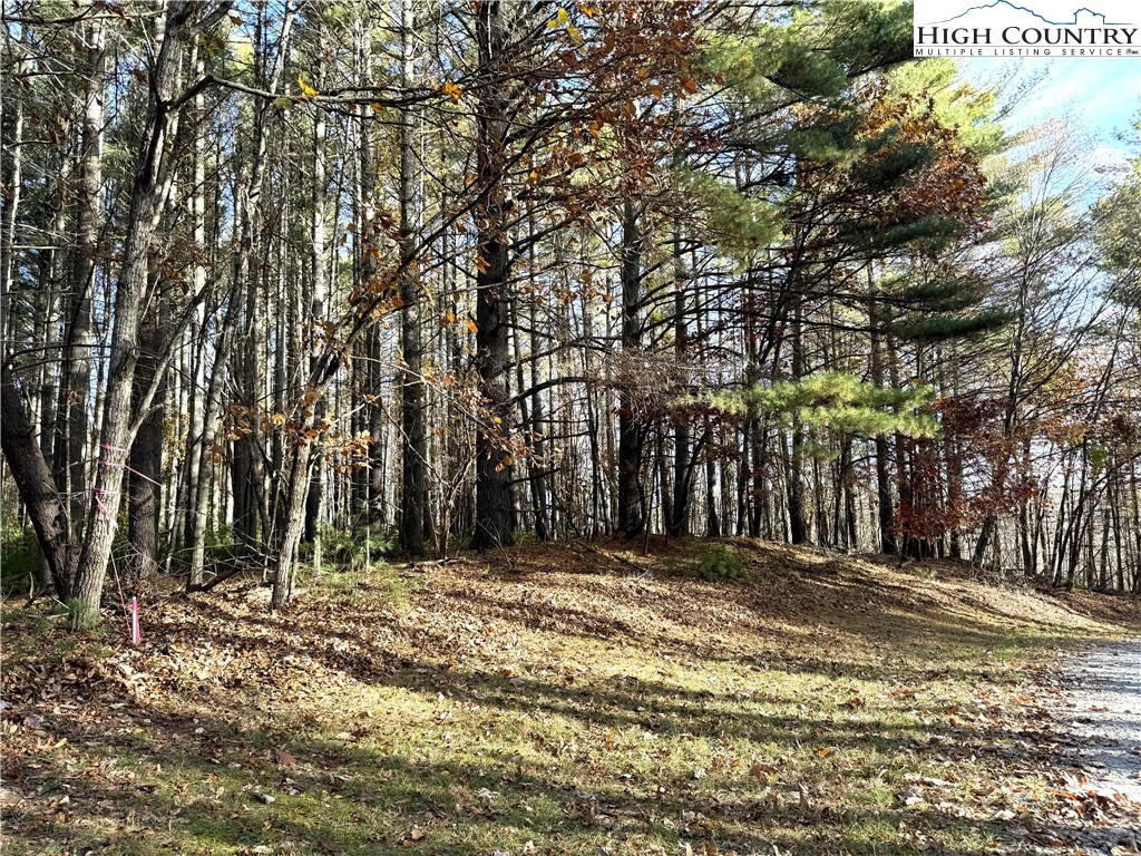 Tbd Jr Dairy Road Property Photo 2