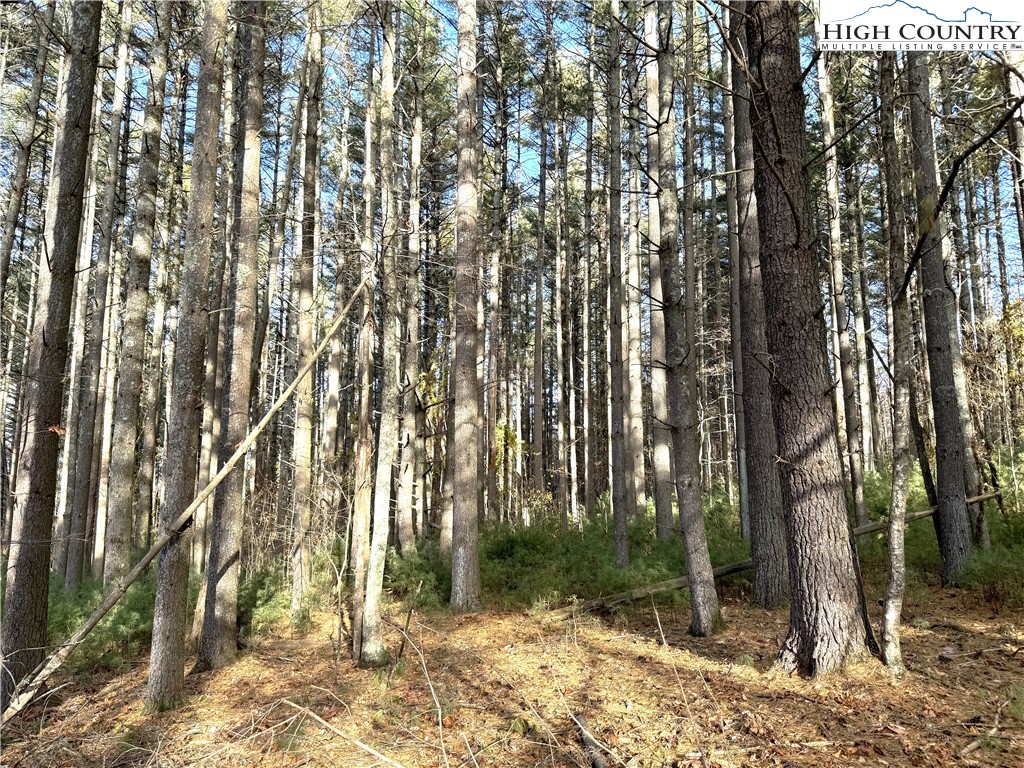 Tbd Jr Dairy Road Property Photo 4