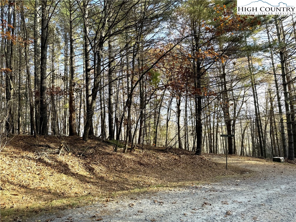 Tbd Jr Dairy Road Property Photo 5