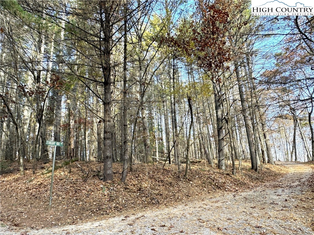 Tbd Jr Dairy Road Property Photo 6
