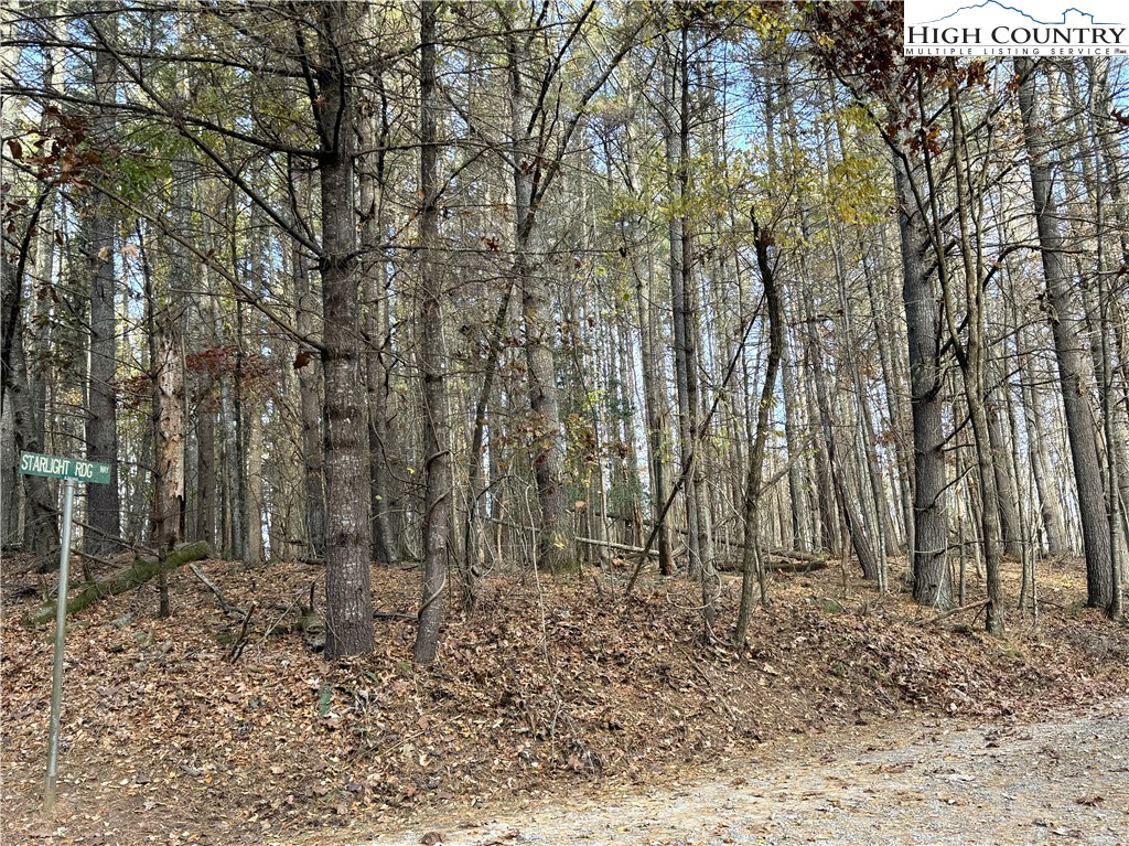 Tbd Jr Dairy Road Property Photo 7