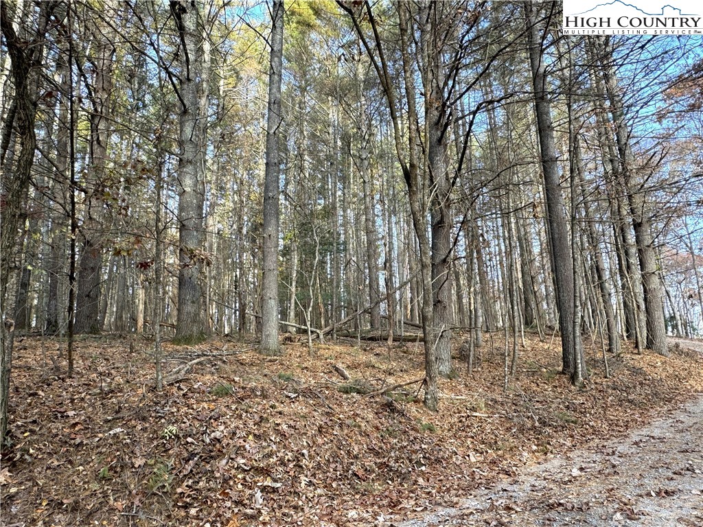 Tbd Jr Dairy Road Property Photo 8