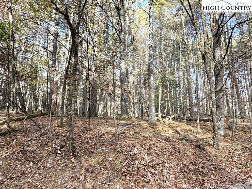 Tbd Jr Dairy Road Property Photo 9