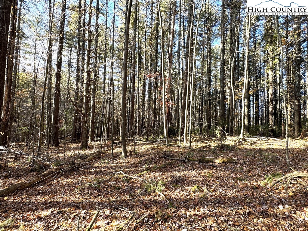 Tbd Jr Dairy Road Property Photo 10