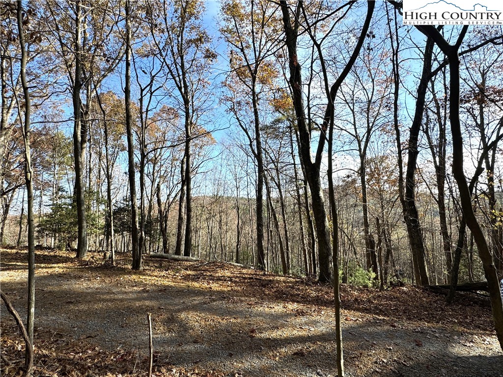 Tbd Jr Dairy Road Property Photo 12