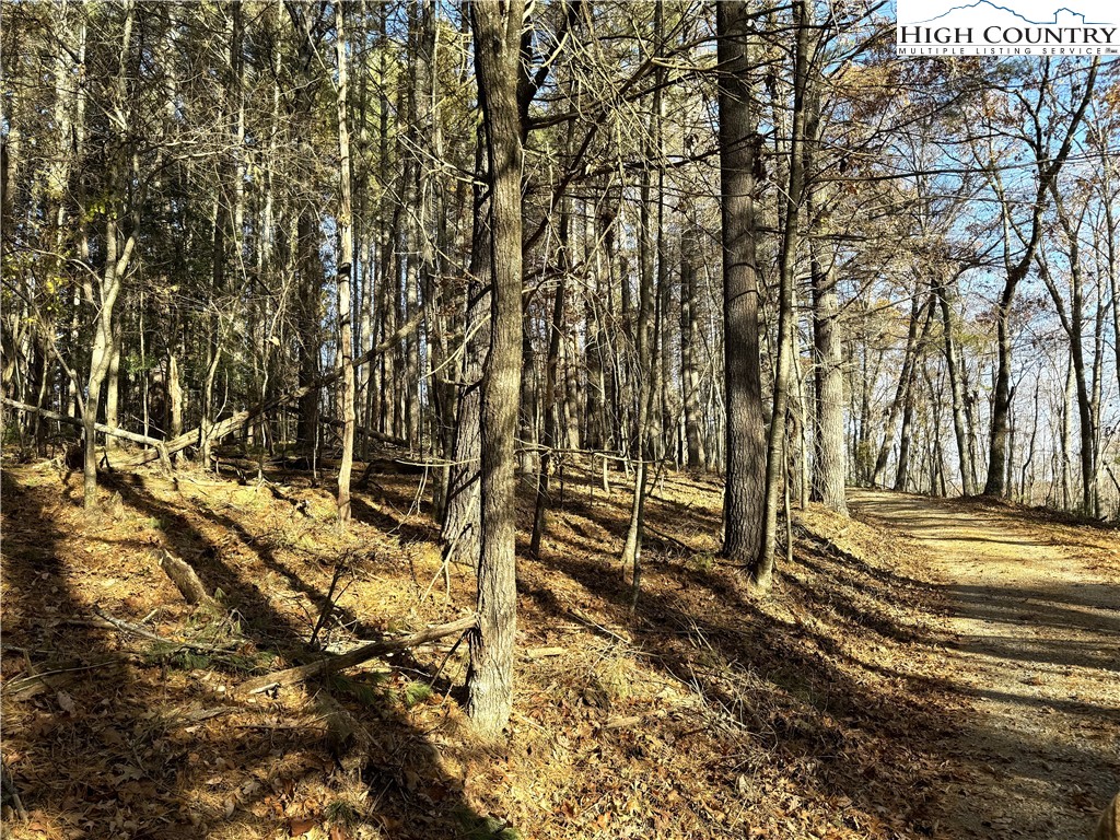 Tbd Jr Dairy Road Property Photo 15